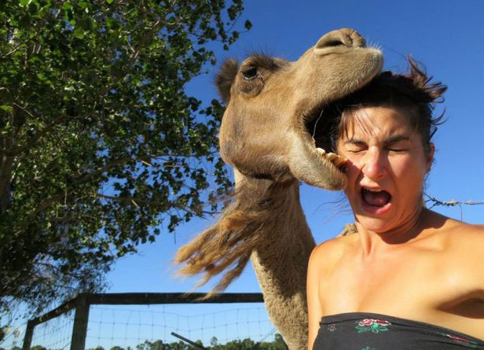 femmes-vs-animaux-un-amour-vache-en-35-photos-amusantes - 31