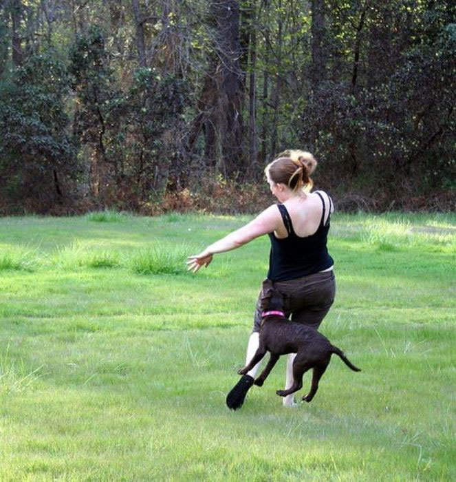 femmes-vs-animaux-un-amour-vache-en-35-photos-amusantes - 4