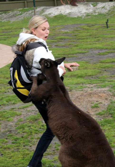 femmes-vs-animaux-un-amour-vache-en-35-photos-amusantes - 5