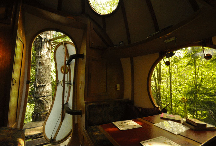 10-cabanes-incroyables-qui-vous-feront-regretter-de-ne-pas-habiter-dans-les-arbres12