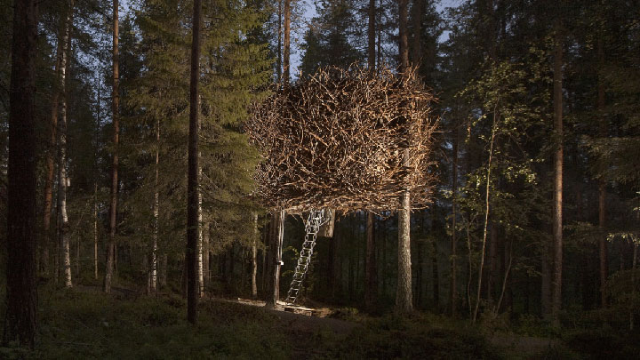 10-cabanes-incroyables-qui-vous-feront-regretter-de-ne-pas-habiter-dans-les-arbres2
