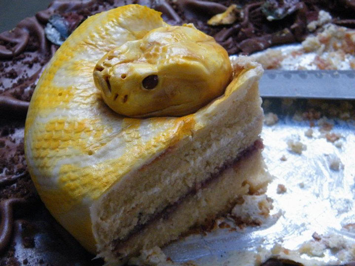 19-gateaux-originaux-et-creatifs-a-partager-avec-vos-proches5