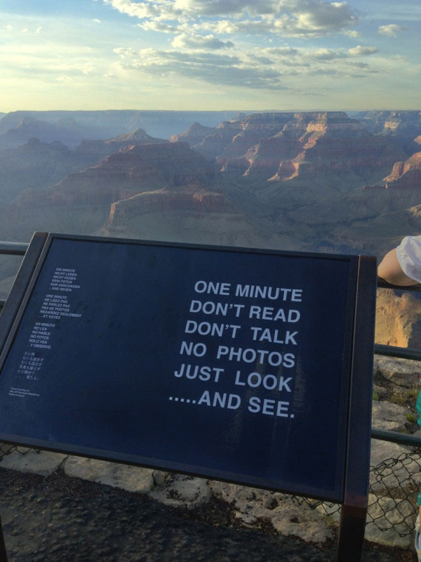 19-preuves-irrefutables-que-les-touristes-sont-les-pires-etres-du-monde5