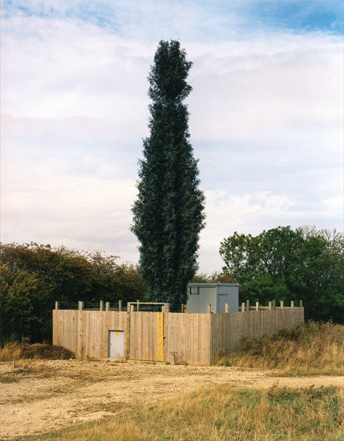 25-exemples-de-camouflages-ingenieux-pour-cacher-vos-antennes-telephoniques11