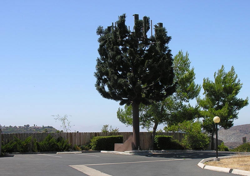25-exemples-de-camouflages-ingenieux-pour-cacher-vos-antennes-telephoniques2