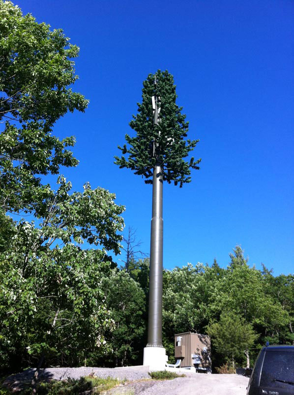 25-exemples-de-camouflages-ingenieux-pour-cacher-vos-antennes-telephoniques23