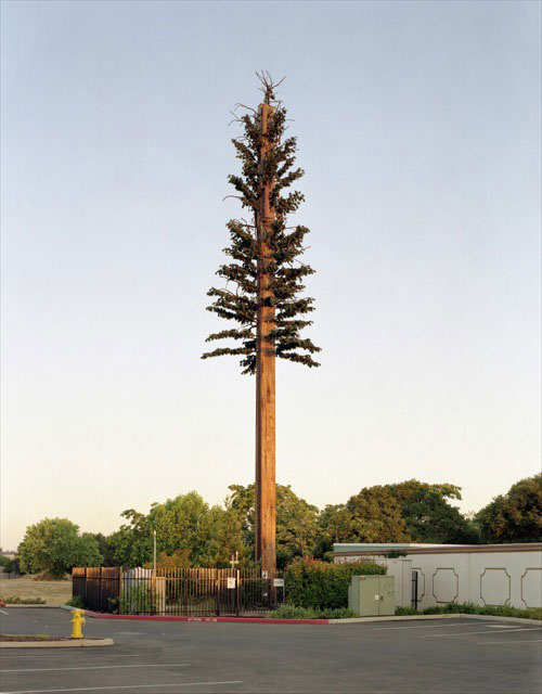 25-exemples-de-camouflages-ingenieux-pour-cacher-vos-antennes-telephoniques4