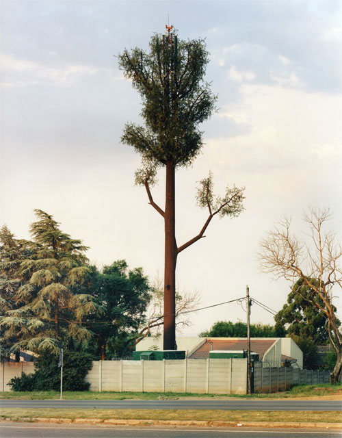 25-exemples-de-camouflages-ingenieux-pour-cacher-vos-antennes-telephoniques8