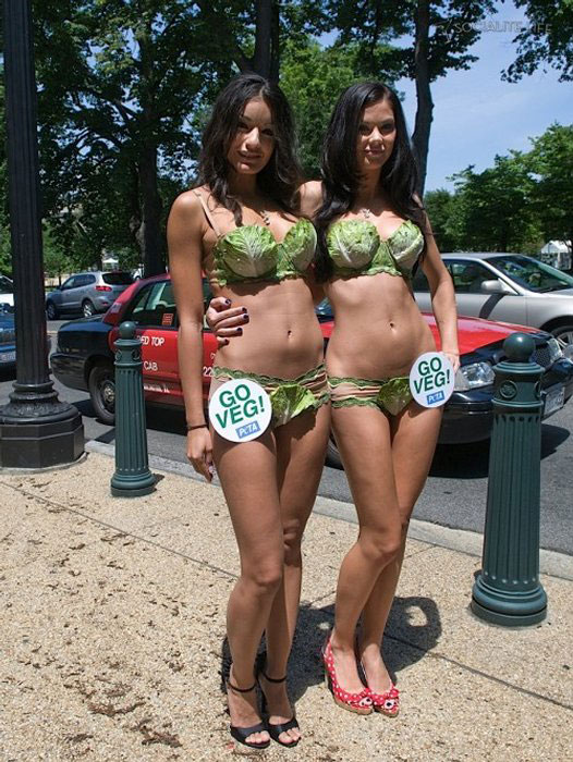 16-types-de-maillots-de-bains-improbables-et-originaux-a-porter-ou-pas-cet-ete30