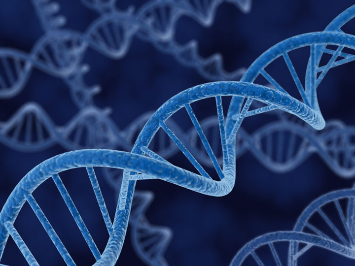 a-qui-appartiennent-vos-genes-apres-votre-mort2