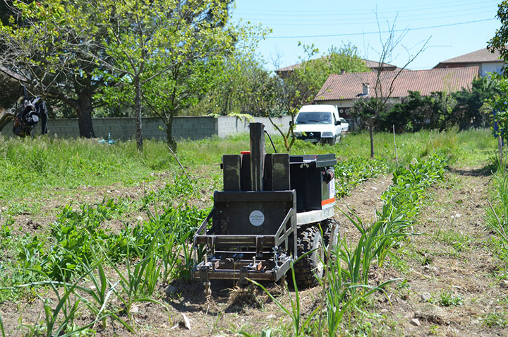 oz-le-robot-francais-qui-se-debarrasse-des-mauvaises-herbes-de-votre-jardin-sans-utiliser-de-pesticide1