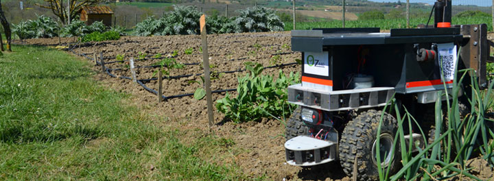 oz-le-robot-francais-qui-se-debarrasse-des-mauvaises-herbes-de-votre-jardin-sans-utiliser-de-pesticide2