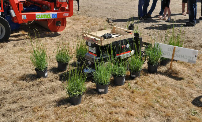 oz-le-robot-francais-qui-se-debarrasse-des-mauvaises-herbes-de-votre-jardin-sans-utiliser-de-pesticide3