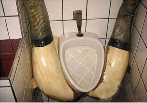 les-50-toilettes-les-plus-insolites-au-monde-14