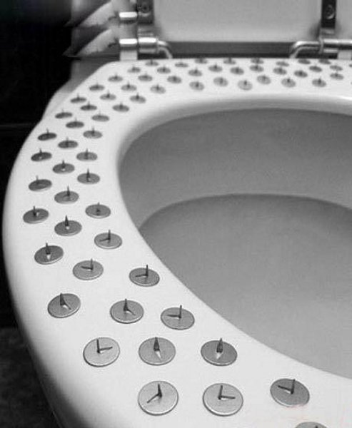les-50-toilettes-les-plus-insolites-au-monde-21