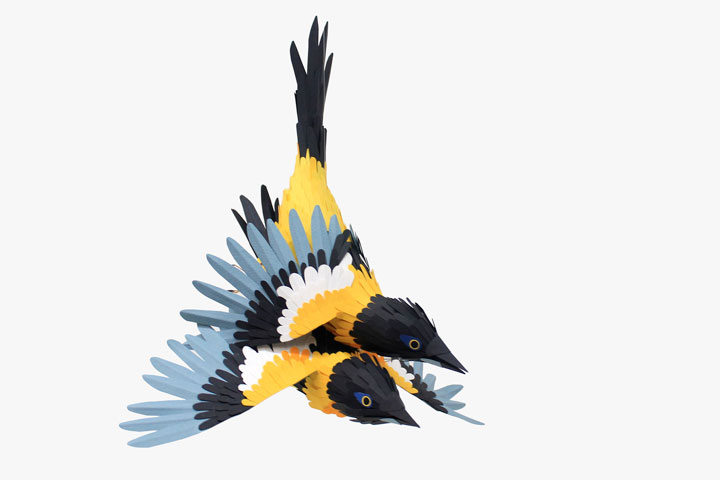ces-sublimes-reproductions-doiseaux-multicolores-sont-entierement-faites-de-papier13