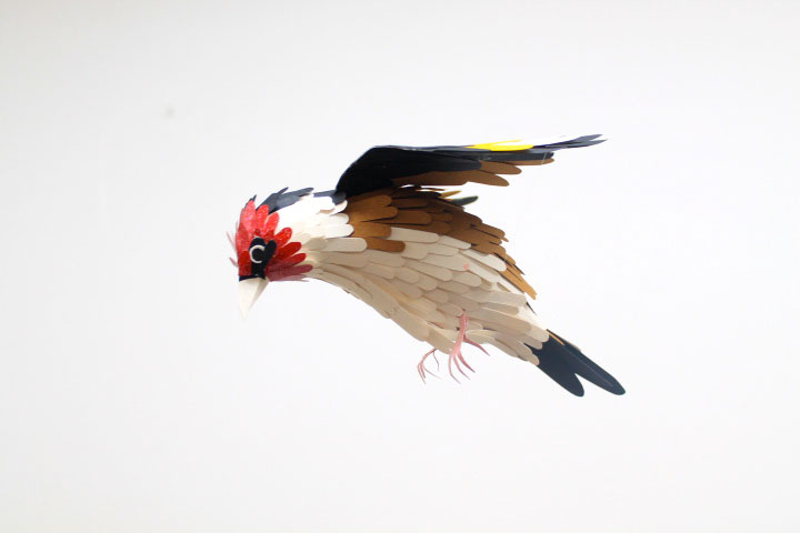 ces-sublimes-reproductions-doiseaux-multicolores-sont-entierement-faites-de-papier7