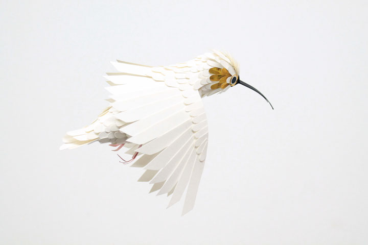 ces-sublimes-reproductions-doiseaux-multicolores-sont-entierement-faites-de-papier9