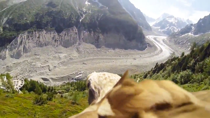 cette-video-prise-depuis-le-dos-dun-aigle-en-plein-vol-est-la-chose-la-plus-majestueuse-que-vous-verrez-aujourdhui-3