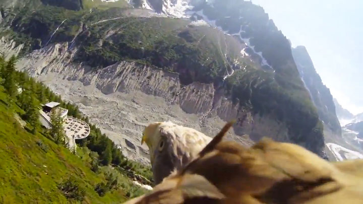 cette-video-prise-depuis-le-dos-dun-aigle-en-plein-vol-est-la-chose-la-plus-majestueuse-que-vous-verrez-aujourdhui-6