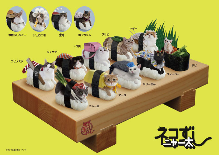 decouvrez-le-nouveau-phenomene-gastronomique-et-animalier-venu-du-japon-les-chats-sushis15