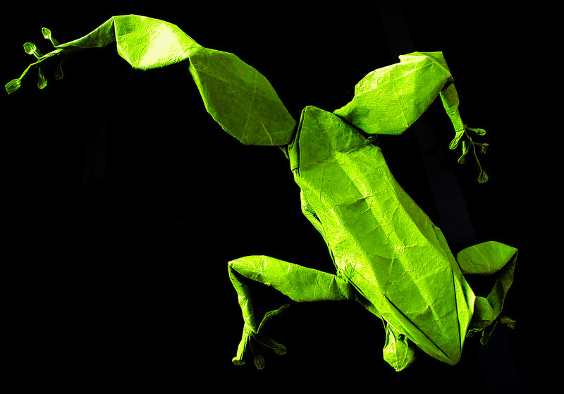 des-feuilles-de-papier-se-metamorphosent-en-magnifiques-animaux-grace-a-des-origamis1