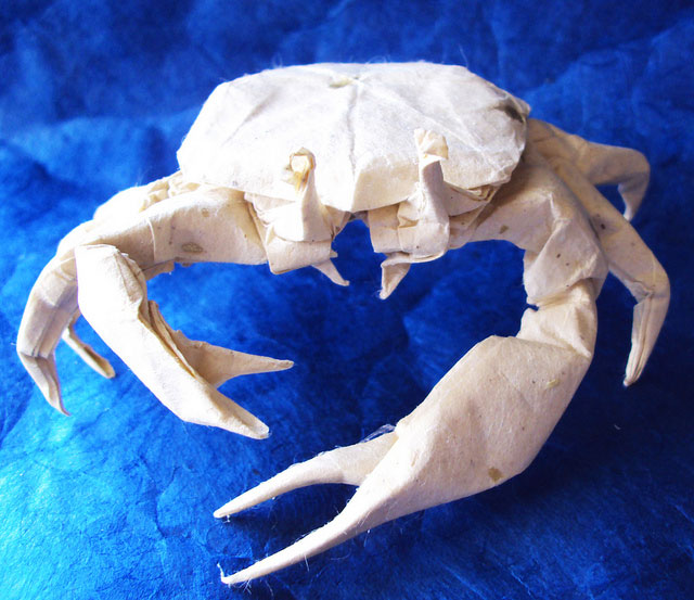 des-feuilles-de-papier-se-metamorphosent-en-magnifiques-animaux-grace-a-des-origamis17