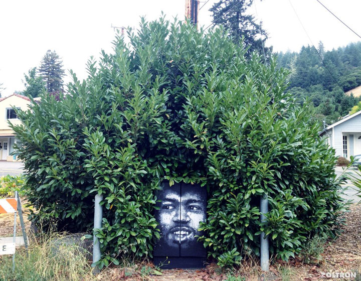 quand-le-street-art-se-met-au-vert-et-se-mele-a-la-nature-2