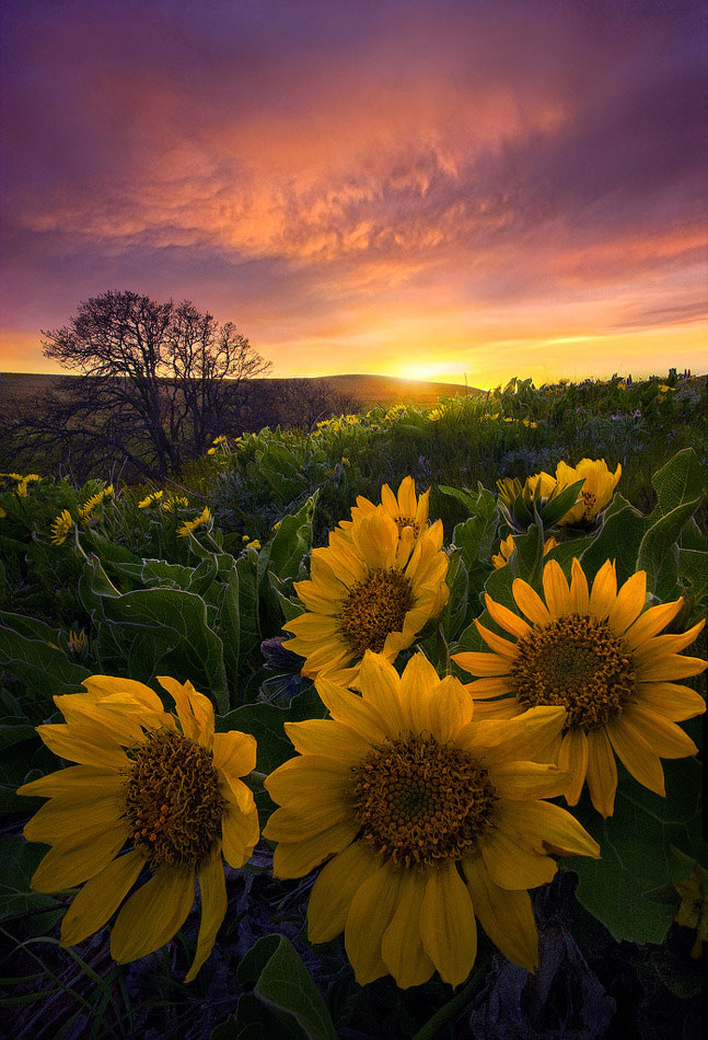 un-photographe-sublime-les-paysages-naturels-damerique-avec-des-jeux-de-lumiere-a-couper-le-souffle37