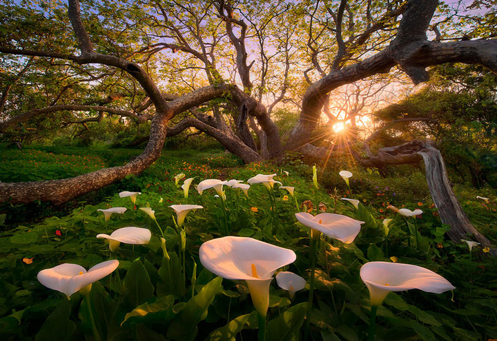 un-photographe-sublime-les-paysages-naturels-damerique-avec-des-jeux-de-lumiere-a-couper-le-souffle38