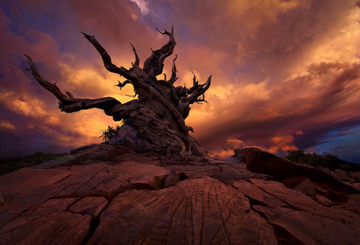 un-photographe-sublime-les-paysages-naturels-damerique-avec-des-jeux-de-lumiere-a-couper-le-souffle5