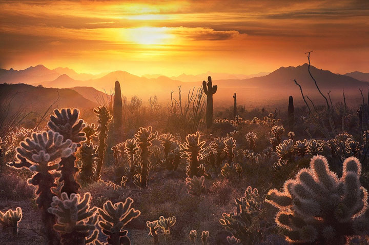 un-photographe-sublime-les-paysages-naturels-damerique-avec-des-jeux-de-lumiere-a-couper-le-souffle7