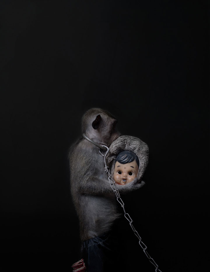 decouvrez-ces-photographies-derangeantes-des-singes-de-jakarta-utilises-par-des-hommes-pour-faire-la-manche11