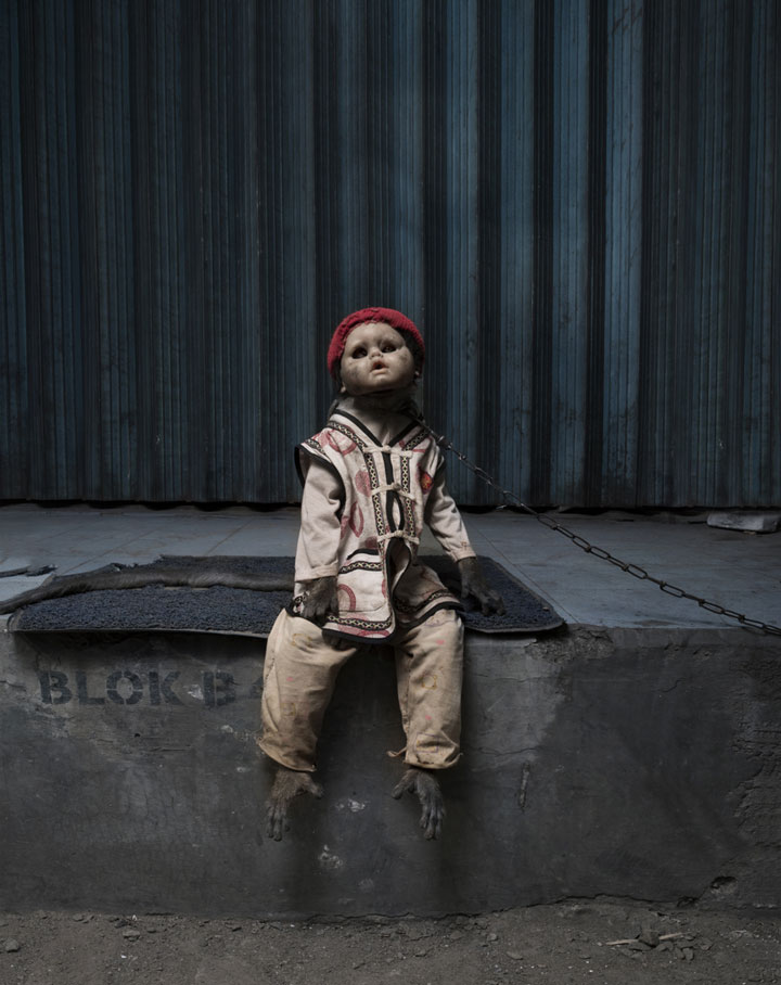 decouvrez-ces-photographies-derangeantes-des-singes-de-jakarta-utilises-par-des-hommes-pour-faire-la-manche21