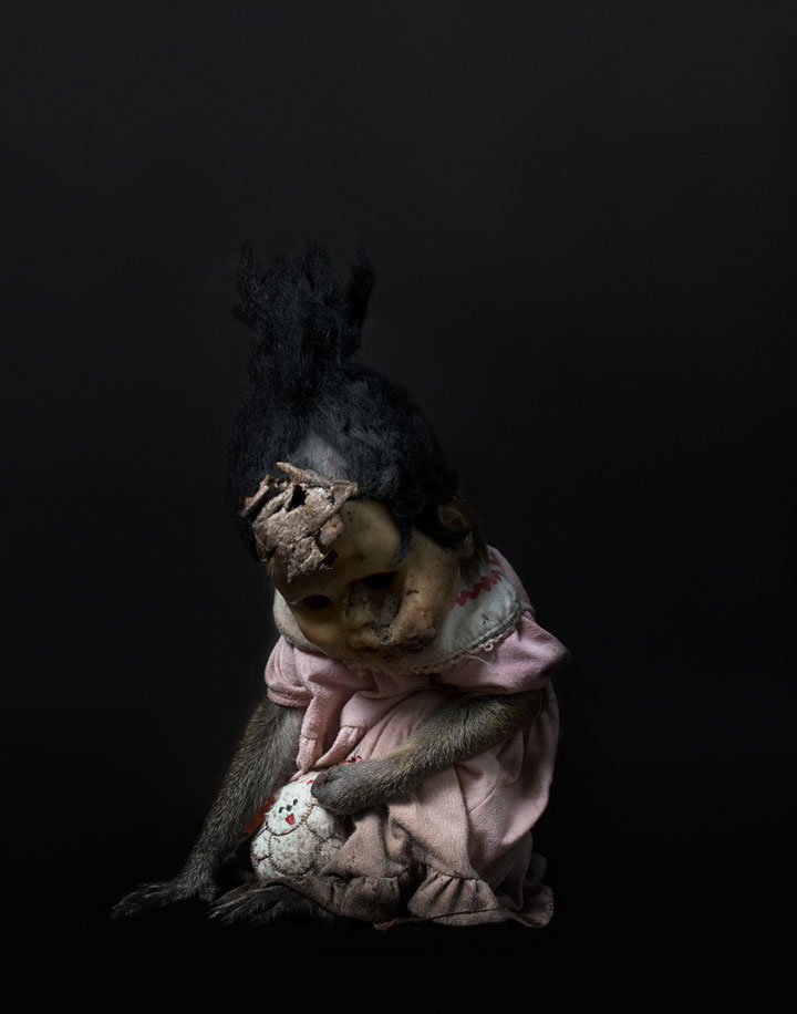 decouvrez-ces-photographies-derangeantes-des-singes-de-jakarta-utilises-par-des-hommes-pour-faire-la-manche2