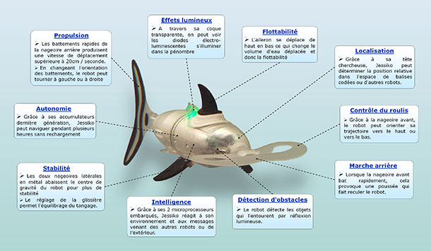jessiko-le-seul-robot-poisson-au-monde-a-pouvoir-nager-en-communaute-de-facon-autonome18
