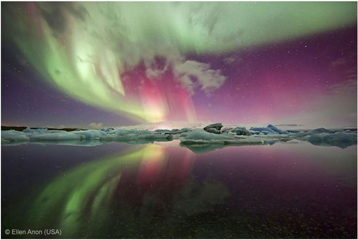 27-photographies-bluffantes-qui-ont-ete-primees-au-wildlife-photographer-201313
