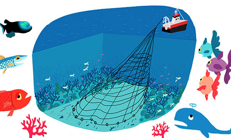 decouvrez-le-role-critique-que-joue-la-france-dans-la-degradation-des-fonds-marins-grace-a-cette-bd-une