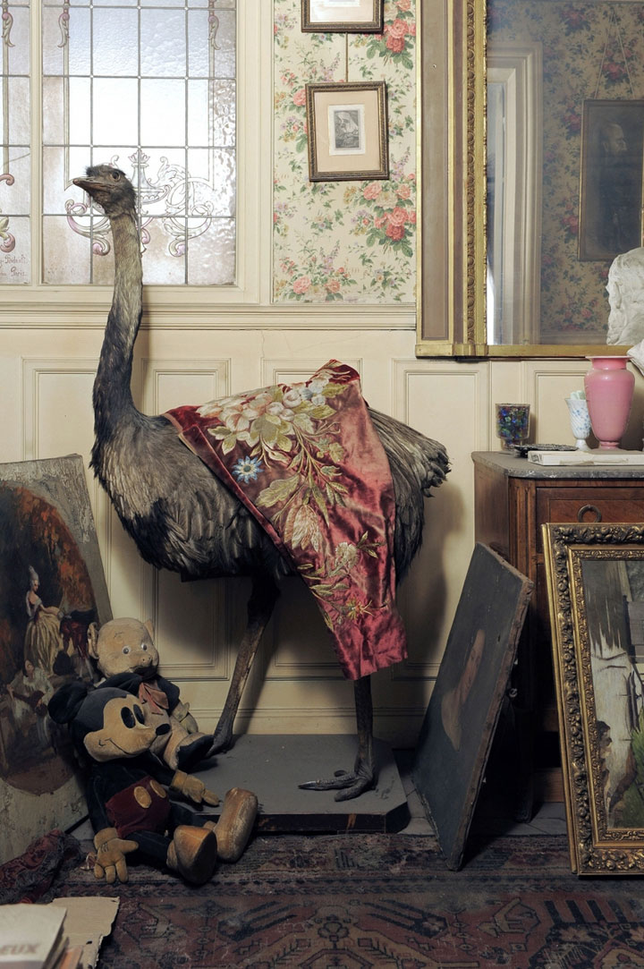 decouvrez-lincroyable-appartement-parisien-de-madame-de-florian-laisse-inoccupe-pendant-70-ans3
