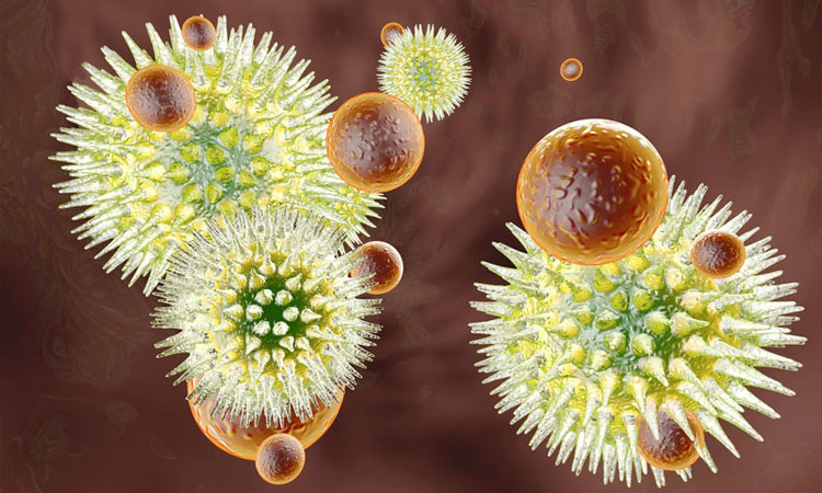 des-chercheurs-francais-parviennent-a-eliminer-les-reservoirs-du-virus-du-sida-dans-le-corps-une