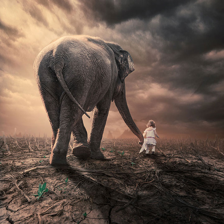 plongez-dans-lunivers-feerique-de-caras-a-travers-une-magnifique-serie-de-38-photographies12