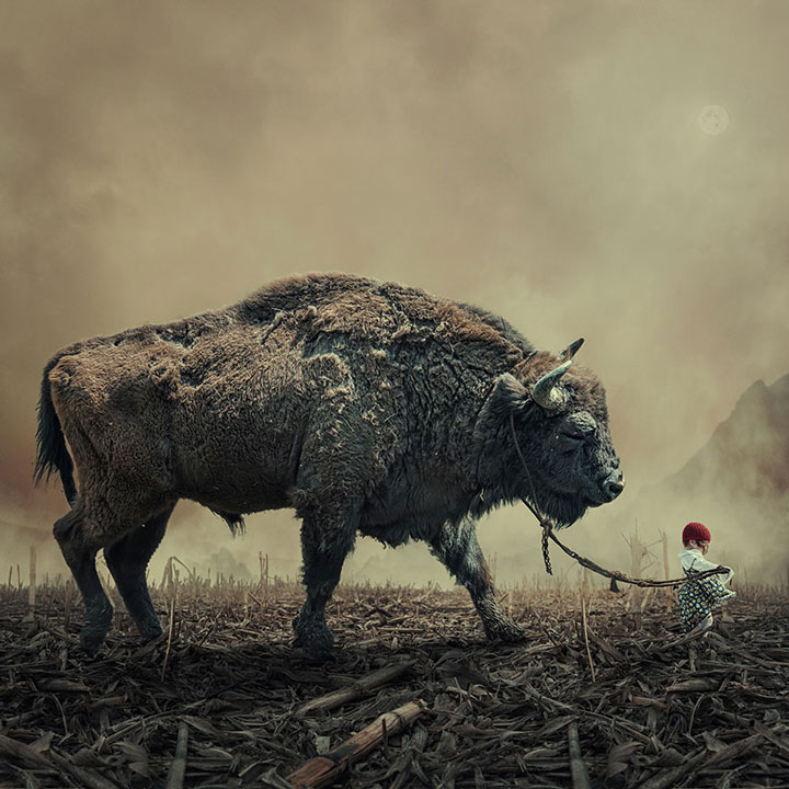 plongez-dans-lunivers-feerique-de-caras-a-travers-une-magnifique-serie-de-38-photographies13