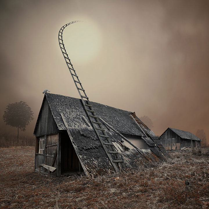 plongez-dans-lunivers-feerique-de-caras-a-travers-une-magnifique-serie-de-38-photographies14