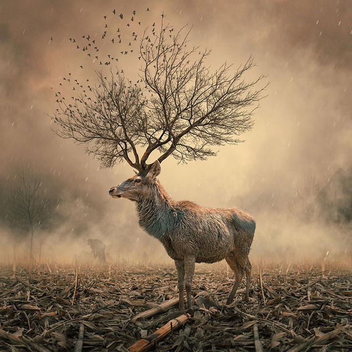 plongez-dans-lunivers-feerique-de-caras-a-travers-une-magnifique-serie-de-38-photographies15