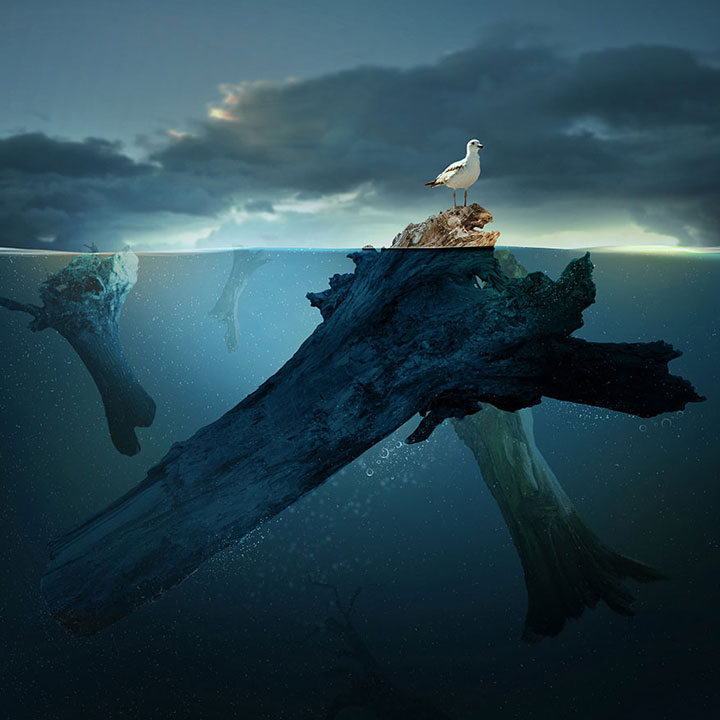 plongez-dans-lunivers-feerique-de-caras-a-travers-une-magnifique-serie-de-38-photographies21