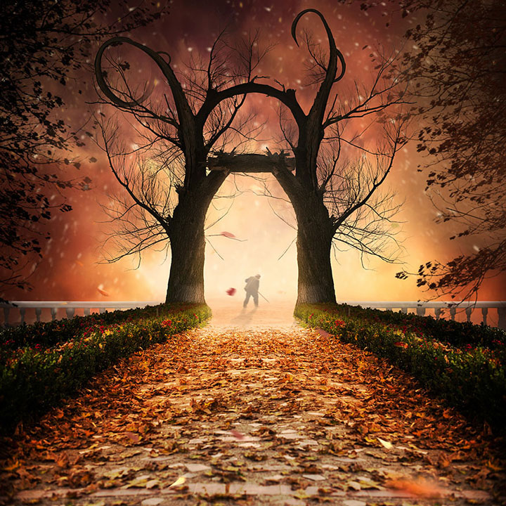 plongez-dans-lunivers-feerique-de-caras-a-travers-une-magnifique-serie-de-38-photographies3