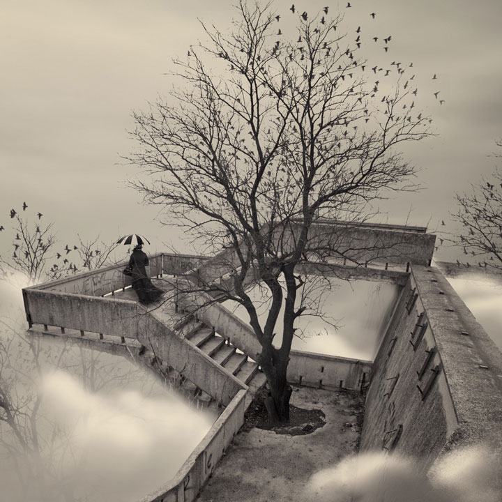 plongez-dans-lunivers-feerique-de-caras-a-travers-une-magnifique-serie-de-38-photographies31