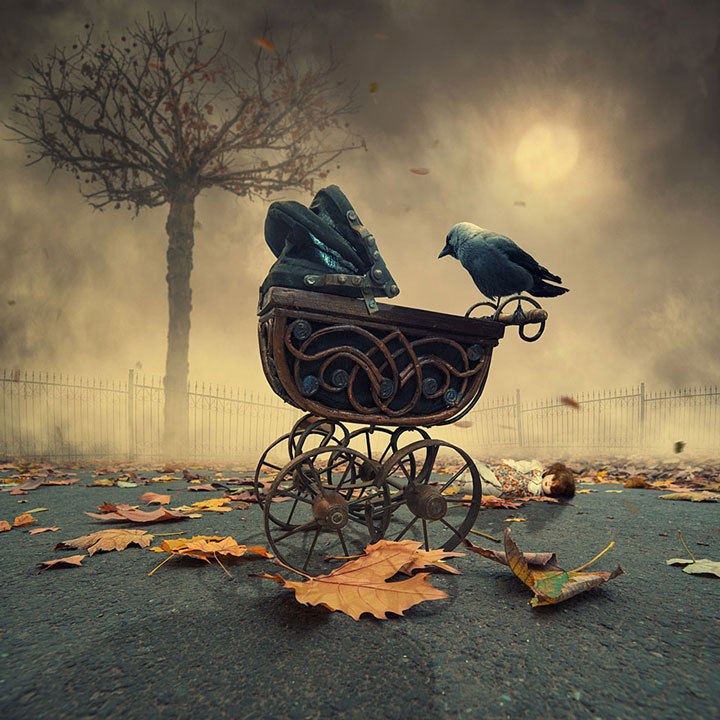 plongez-dans-lunivers-feerique-de-caras-a-travers-une-magnifique-serie-de-38-photographies35