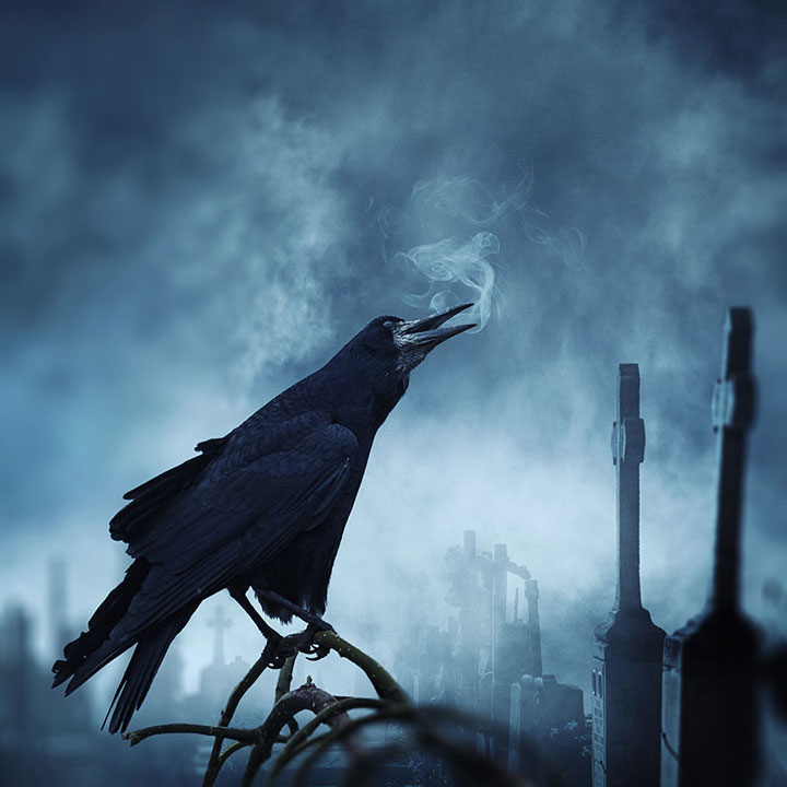 plongez-dans-lunivers-feerique-de-caras-a-travers-une-magnifique-serie-de-38-photographies6