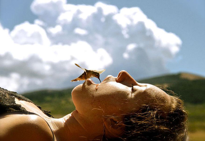 22-sublimes-photographies-danimaux-prises-durant-le-concours-national-geographic-5